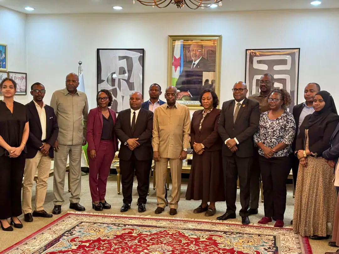 Djibouti Prime Minister Hosts Tanzanian Delegation for Cooperation Talks