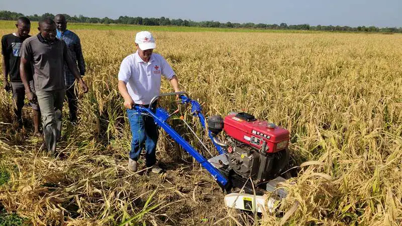 Burkina Faso: Chinese Agricultural Mission Successfully Experiments with Hybrid Rice