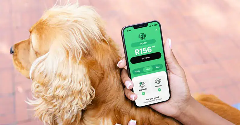 Naked Launches Affordable Pet Insurance in South Africa