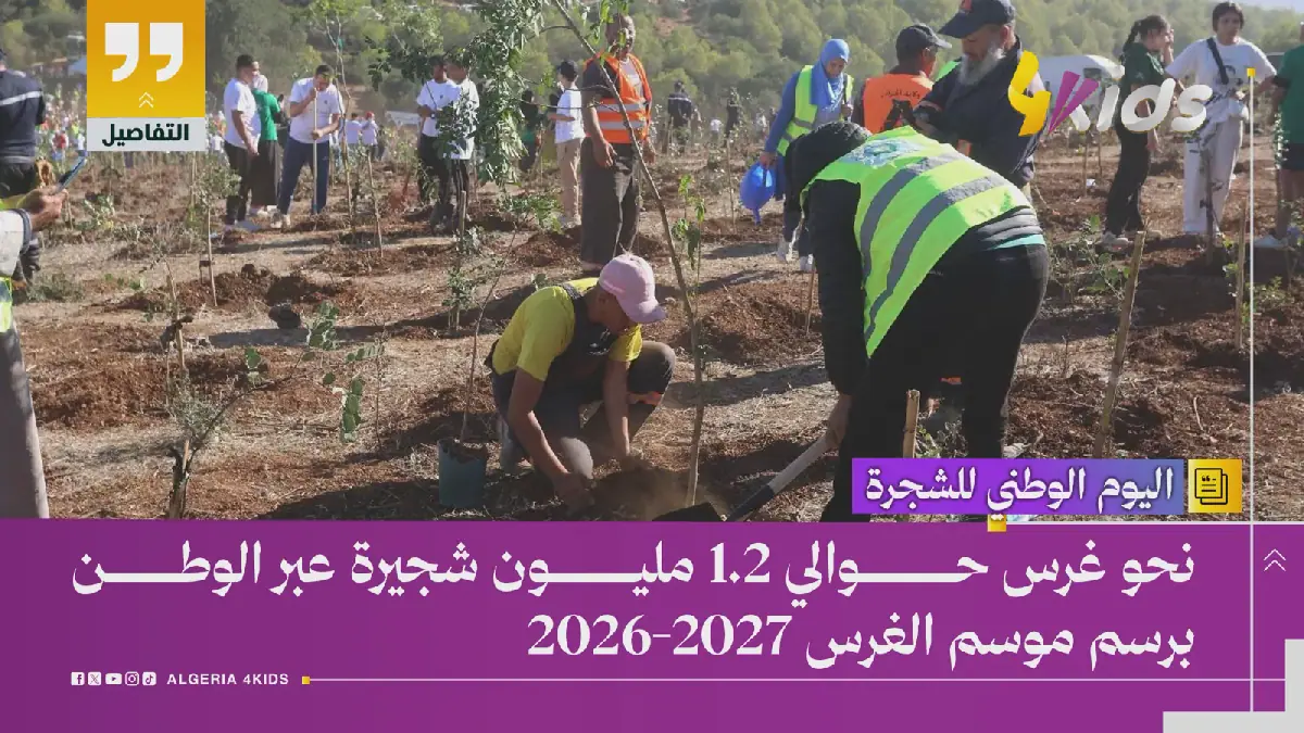 Algeria to Plant 1.2 Million Trees in 2026-2027