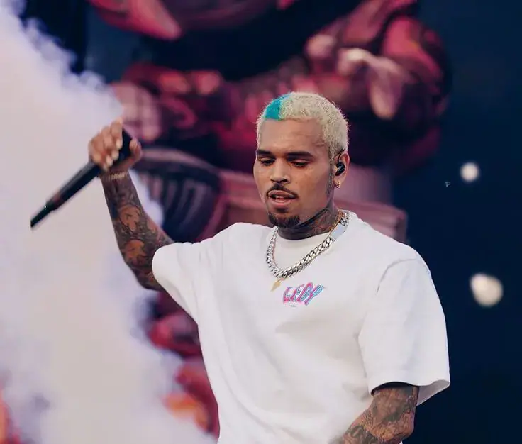Chris Brown Handed Eight-Month Suspended Sentence Over London Nightclub Attack