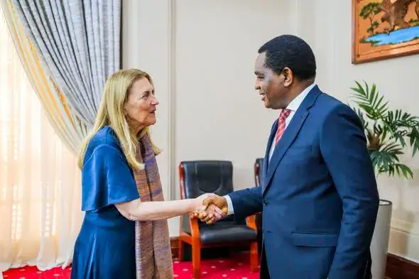 Zambia: President Hichilema Calls for Deeper Economic Cooperation with Switzerland