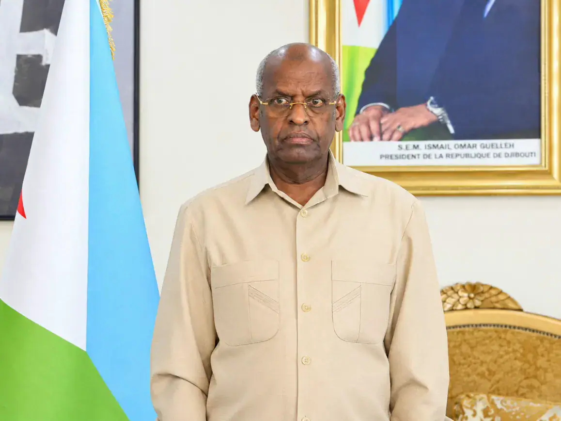 Djibouti's Prime Minister Urges Chinese Enterprises to Invest in Port and Industrial Development