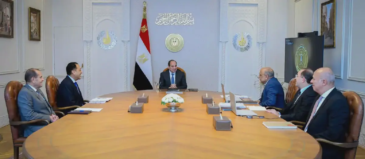 Al-Sisi reviews plan to raise renewables share to 45% by 2028