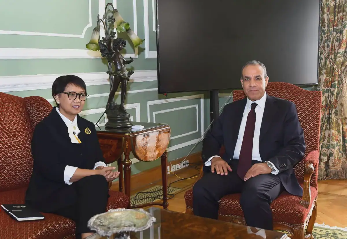 Egypt's FM discusses water security, development financing with UN, EIB officials