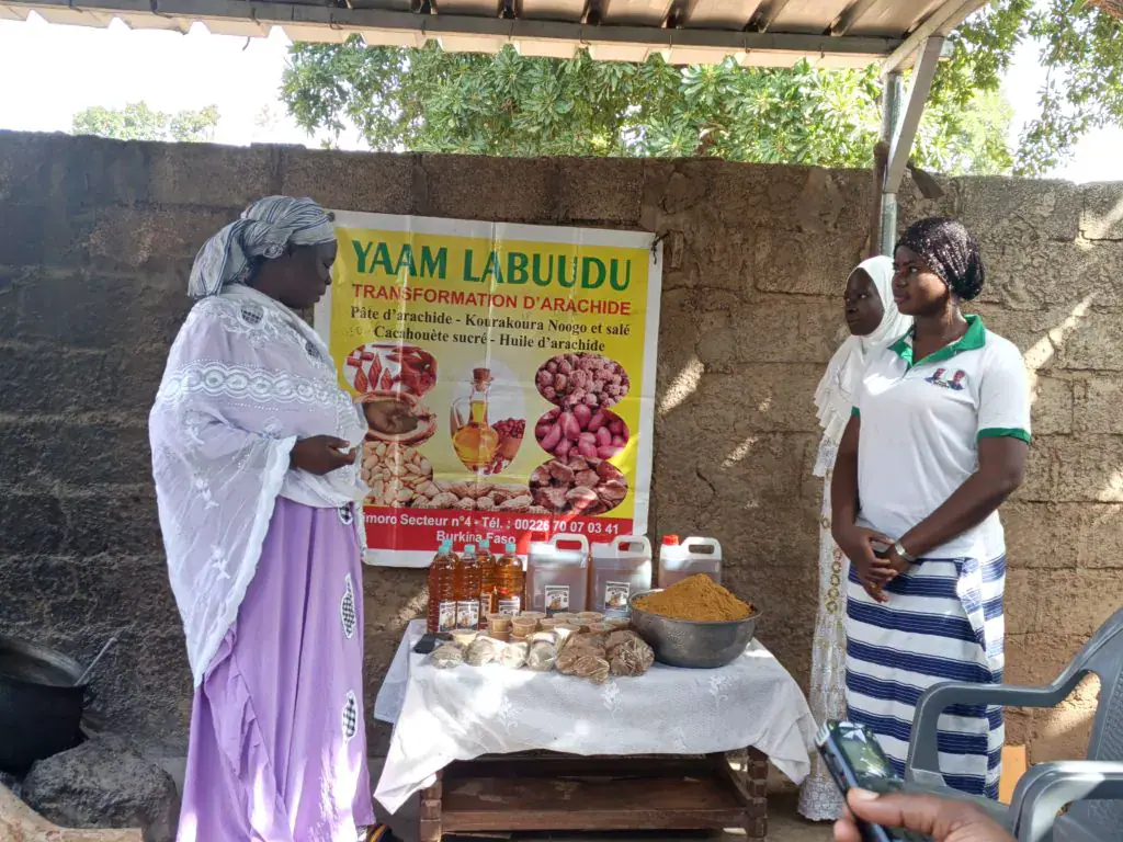 Burkinabé Women Embrace Entrepreneurship for Financial Autonomy