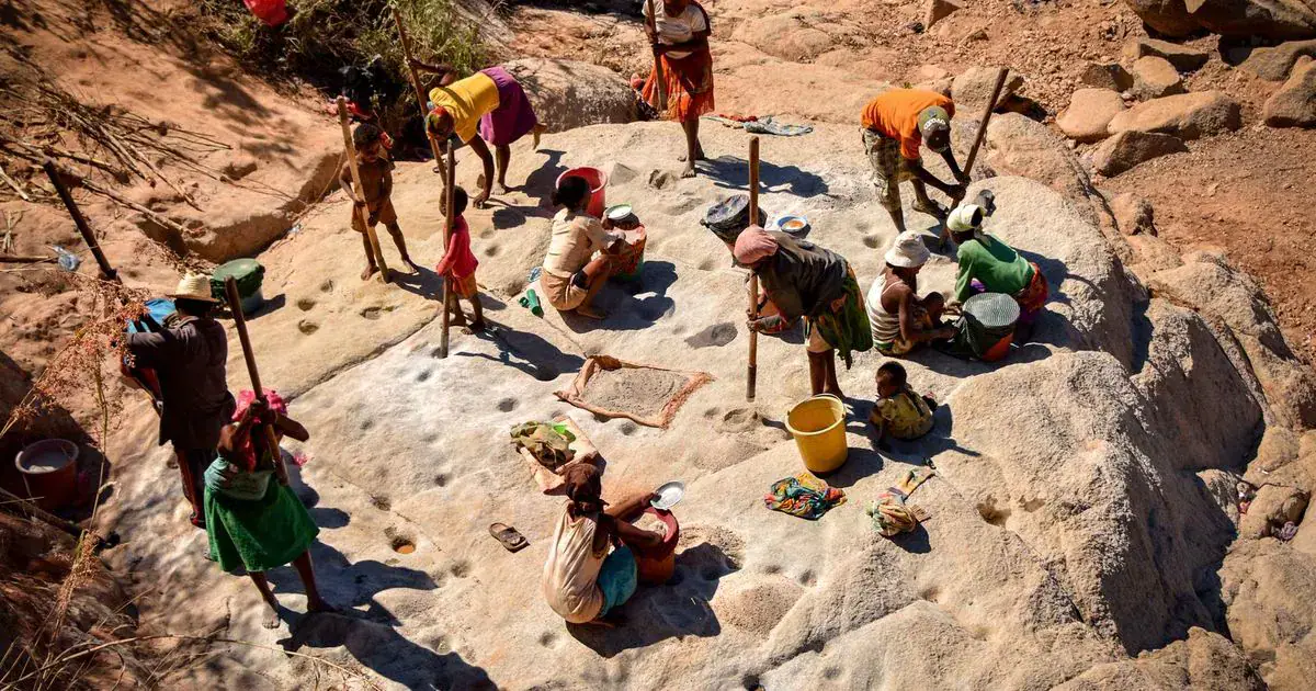 Orpailleurs broyant et lavant du sable aurifère dans un lit de rivière, à Madagascar