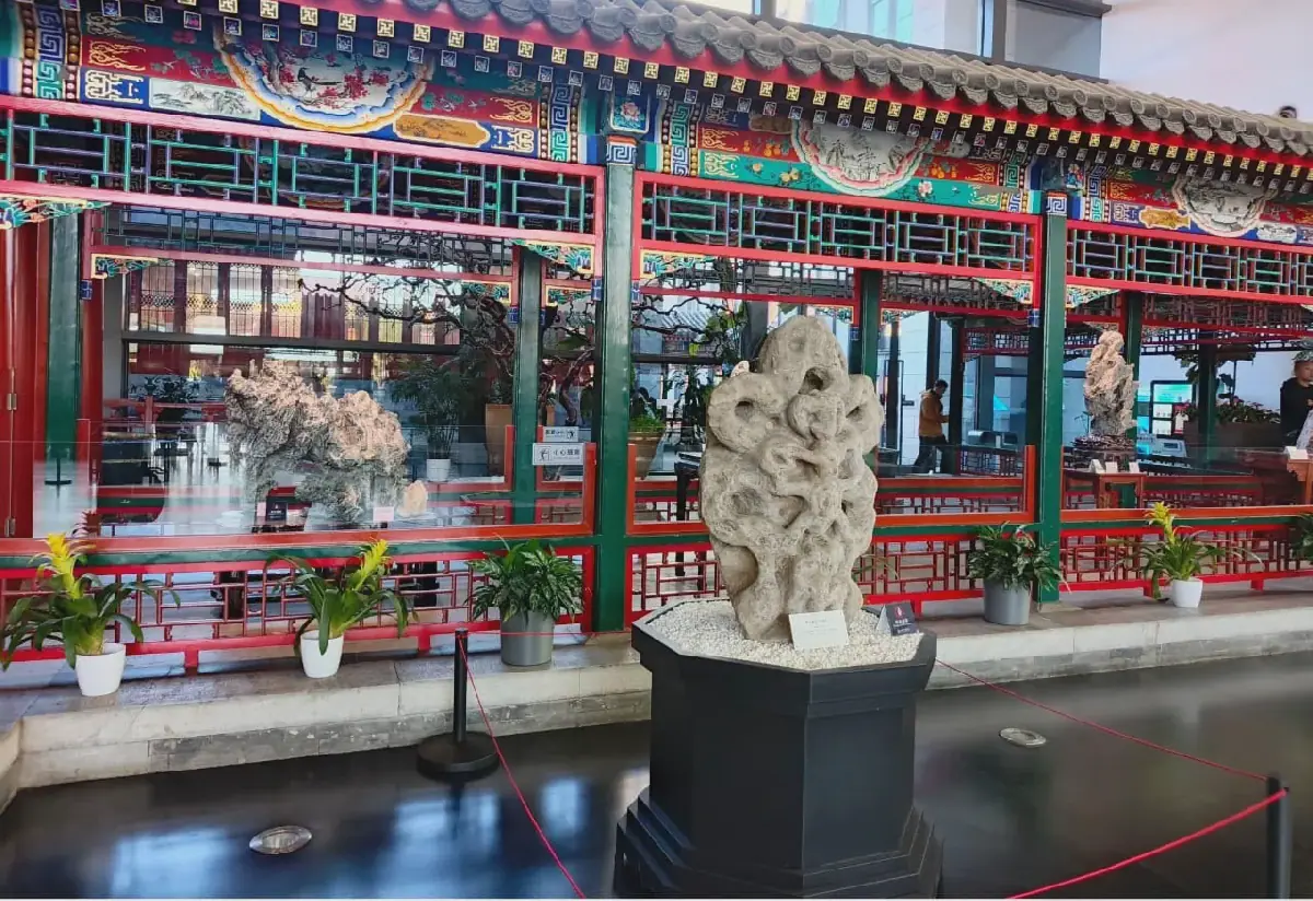 Chine-Afrique/Coopération : des journalistes d’Afrique francophone découvrent l’art des jardins chinois à Beijing