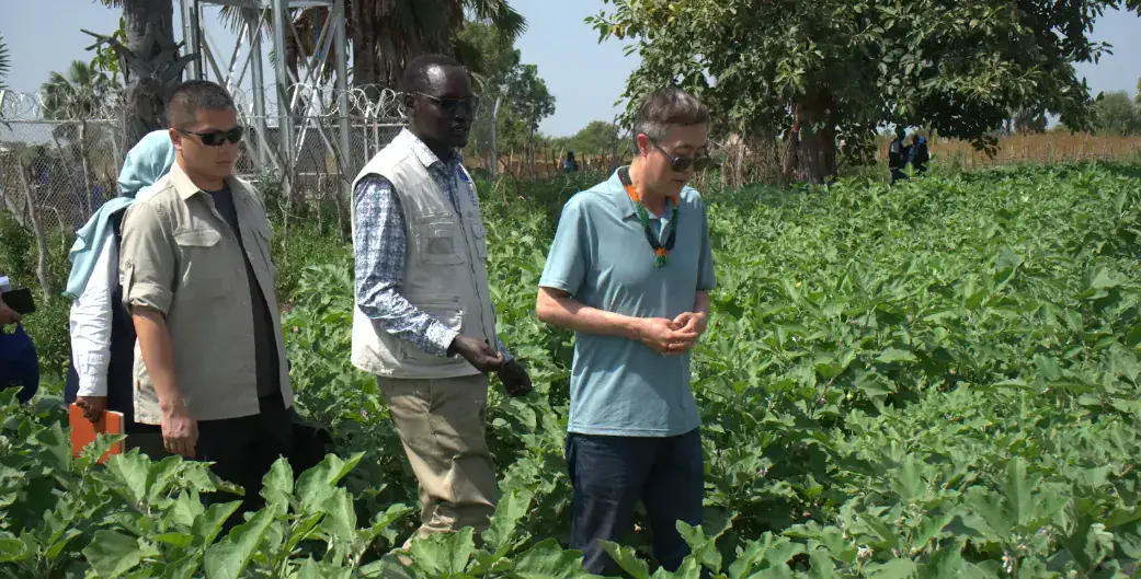 Aweil farmers look to China to boost rice production