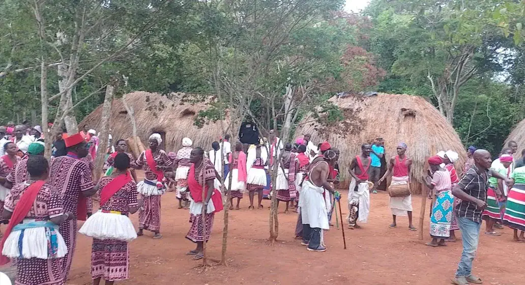 Rabai Elders Warn Sacred Kaya Forests Face Destruction Amid Illegal Logging