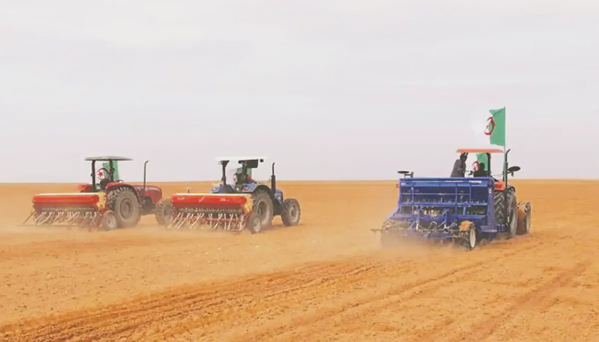 Algeria Targets 2090 Hectares for Dry Legume Cultivation in Setif