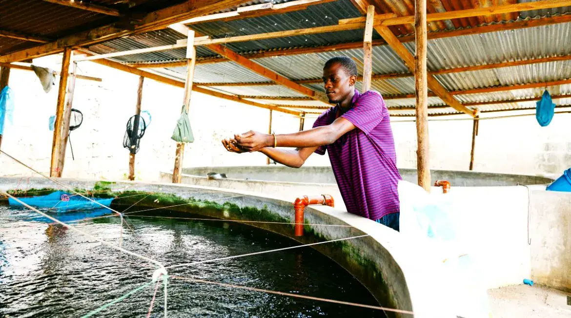 Tanzanian Firm NovFeed Recognized for Sustainable Fish Feed Production