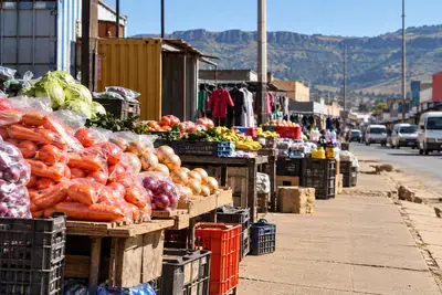 Training opens new horizons for street traders