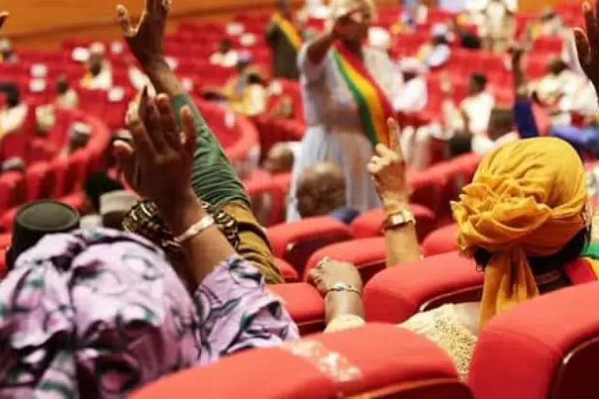 Mali Moves to Revise Nationality Law Amid Terrorism Threat