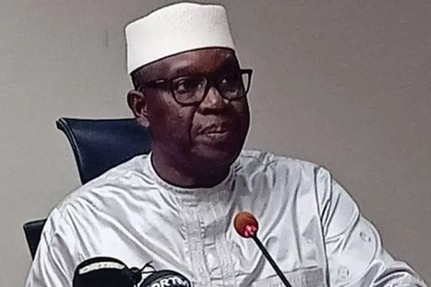 Mali Launches Major Mining Sector Overhaul