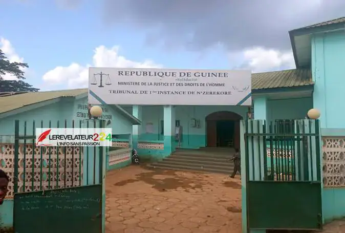 Nine Arrested in Guinea for Psychotropic Substance Trafficking