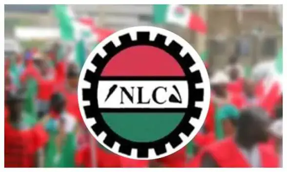 Edo NUEE chair hospitalised after alleged assault, says NLC