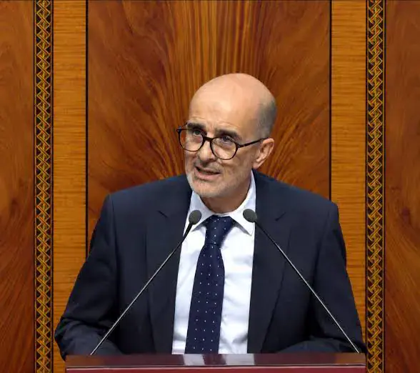 Moroccan Politician Criticizes Tax Exemptions on Red Meat Imports