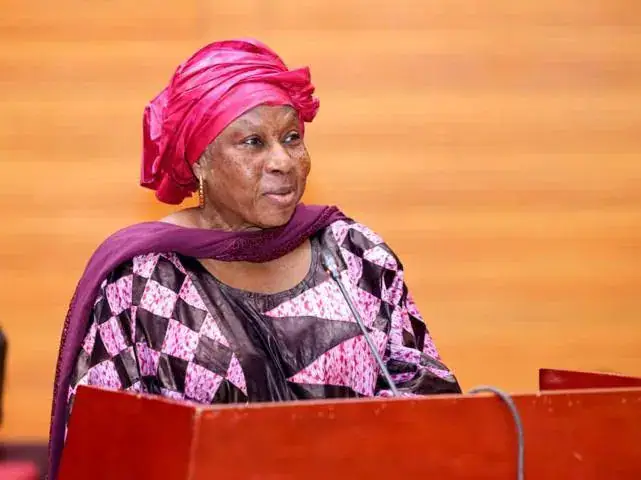 Mali's National Human Rights Commission Condemns Attacks on Civilians in Ménaka Region