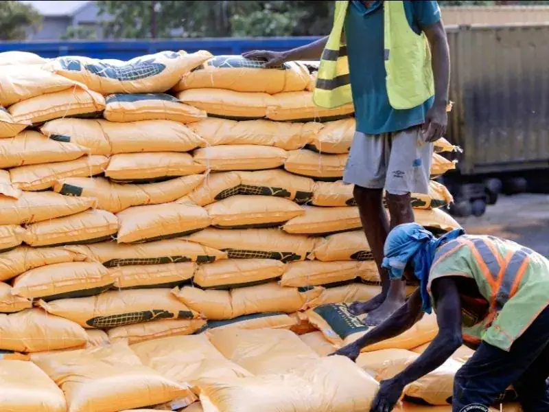 Government Subsidizes Maize Flour in Kasaï-Oriental to Ease Household Burden