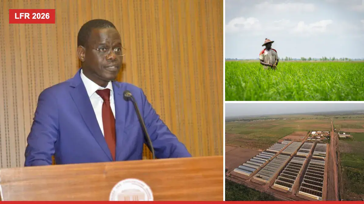 Several Projects Presented as "Suppressed" Still in Senegal's 2026 LFR