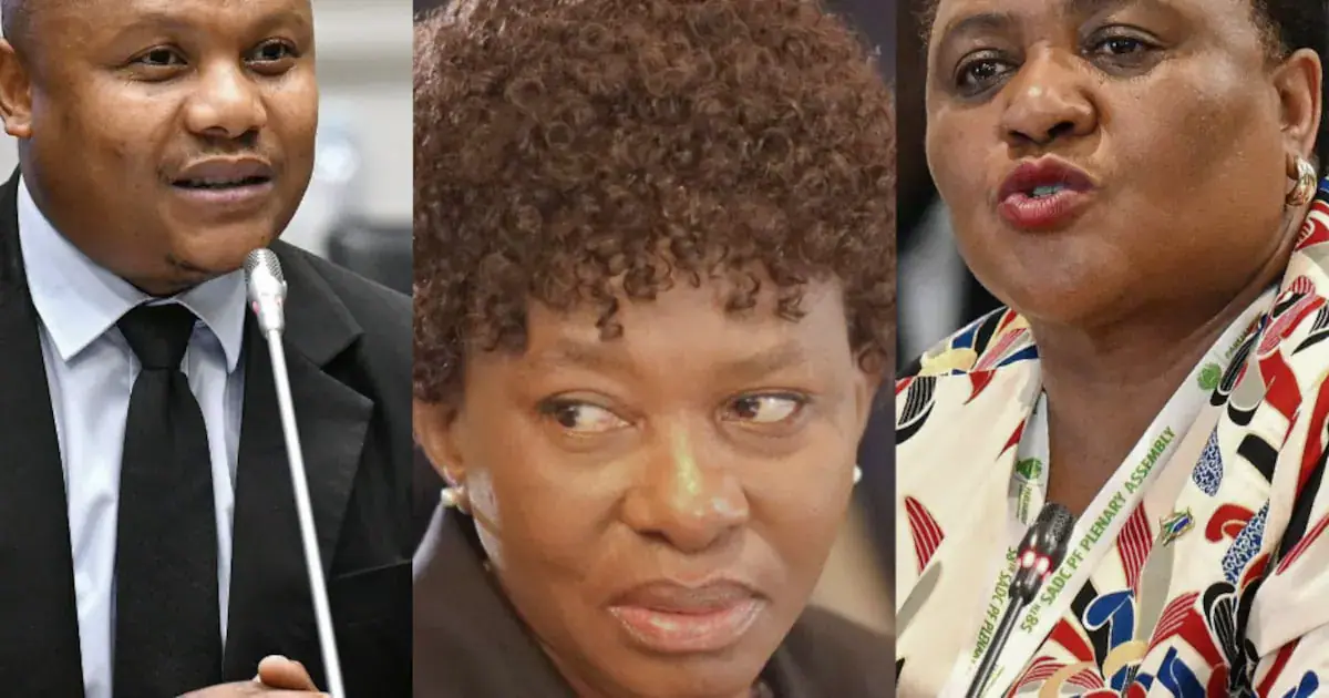 MP Xola Nqola, judge Nana Makhubele and National Assembly speaker Thoko Didiza in a legal challenge.