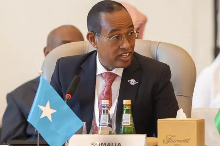 Somalia Highlights Strategic Role of Its Airspace at Qatar Aviation Meeting