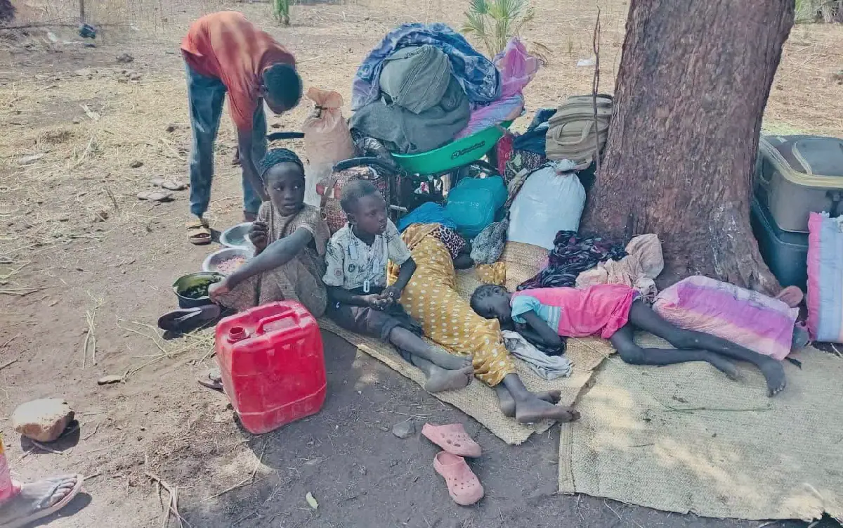 Clashes and Displacement Continue in Sudan's Blue Nile State