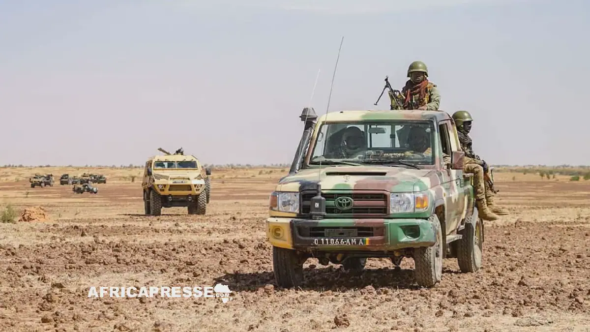Mali's Military Claims 4,880 Combatants Neutralized in Recent Operations