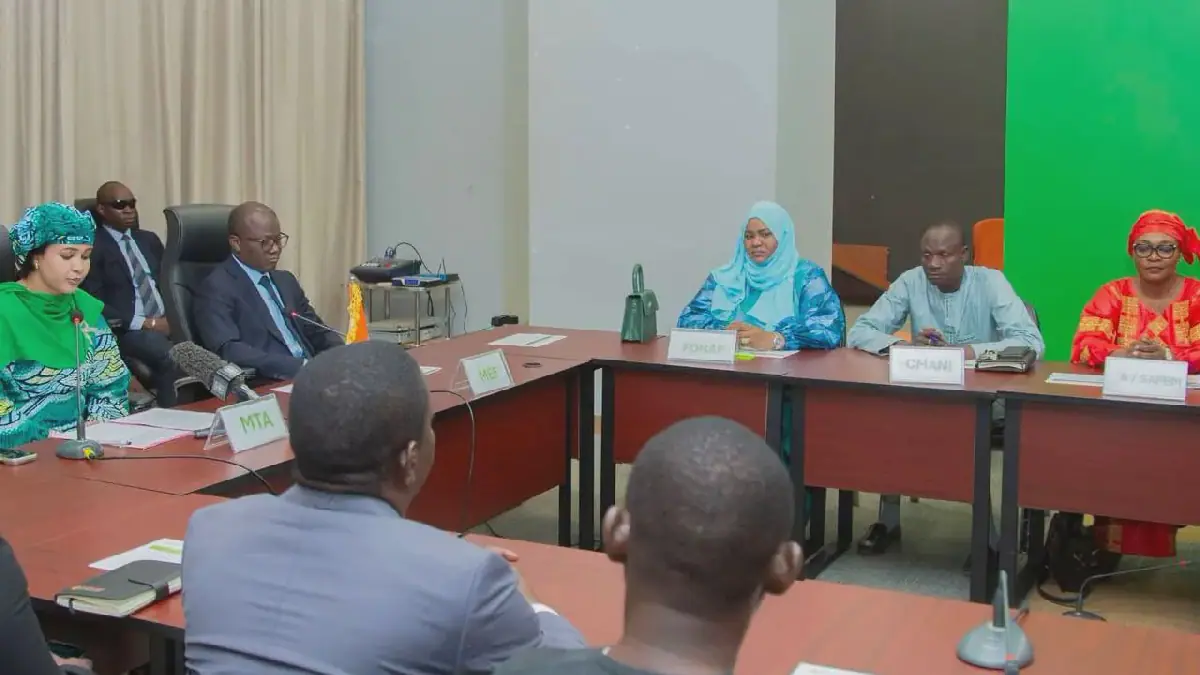 Niger's FONAP, SAFEM, and CMANI Unite to Support Local Artisans