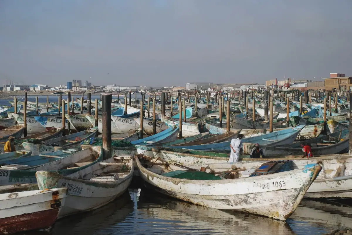 قوارب صيد تقليدية راسية في ميناء الصيد التقليدي بمدينة نواذيبو الموريتانية