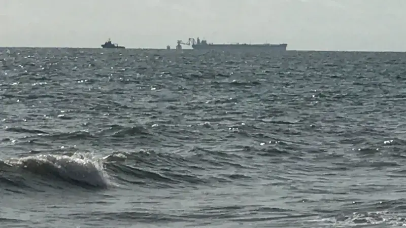 Fish scarcity, tar balls, and stranded dolphins: The hidden costs of offshore platforms in Cameroon waters
