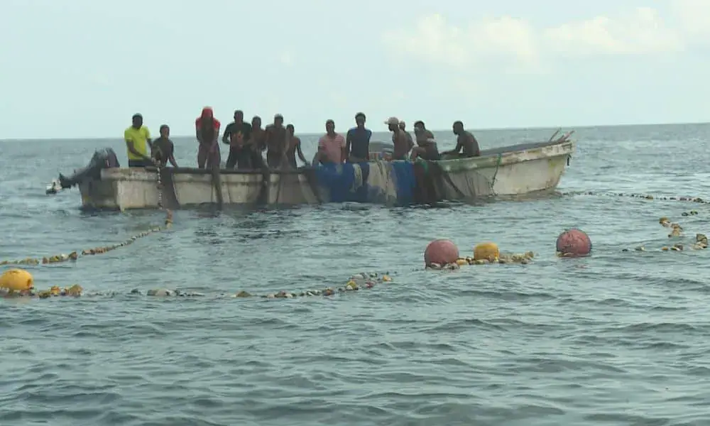 Projeto de pesca responsável impulsiona adoção da técnica de palangre em São Tomé e Príncipe