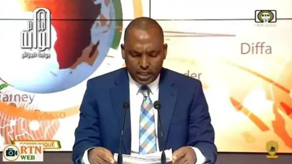 Niger Accuses Chad and France of Drone Strike