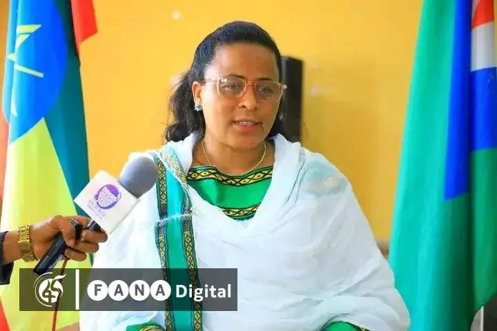 Over 25,000 Youths in Southwest Ethiopia Region Secure Jobs in Quarter