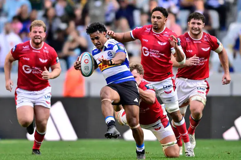 Rassie injects talented youth into Springbok squad for Nations Championship finale
