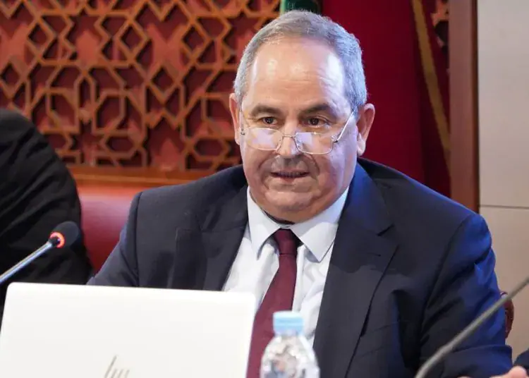 Moroccan Minister's 'Mongolian Marriage' Remark Sparks Disability Rights Backlash