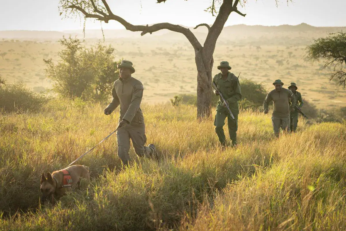 Over 40 Suspected Poachers Arrested in Serengeti National Park