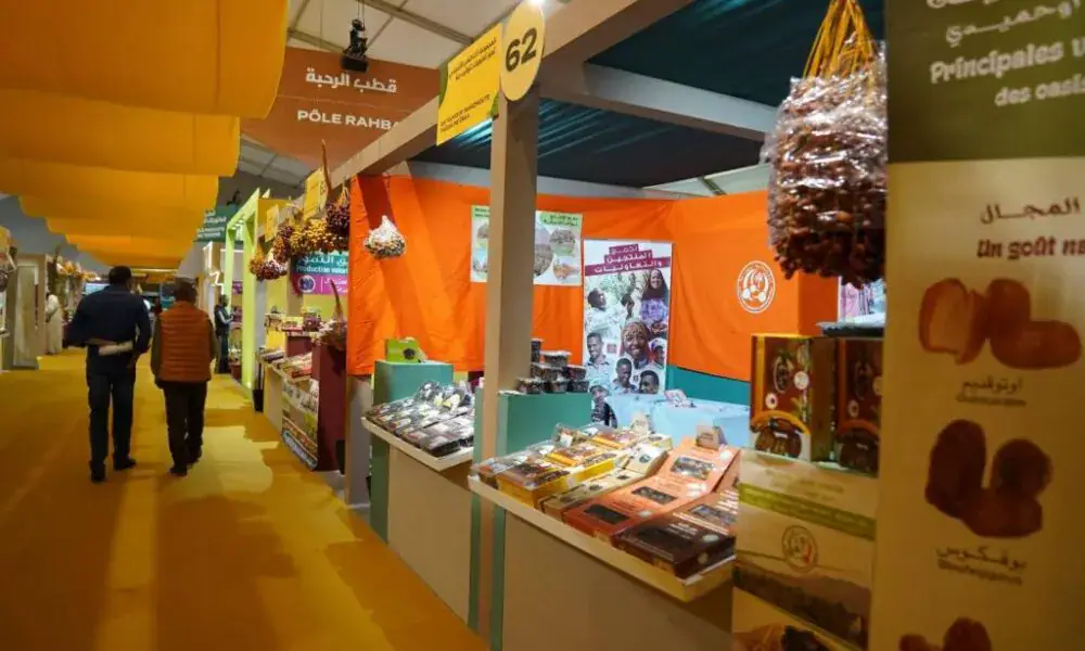 La production de dattes au Maroc devrait atteindre 180 000 tonnes pour la campagne 2026-2027
