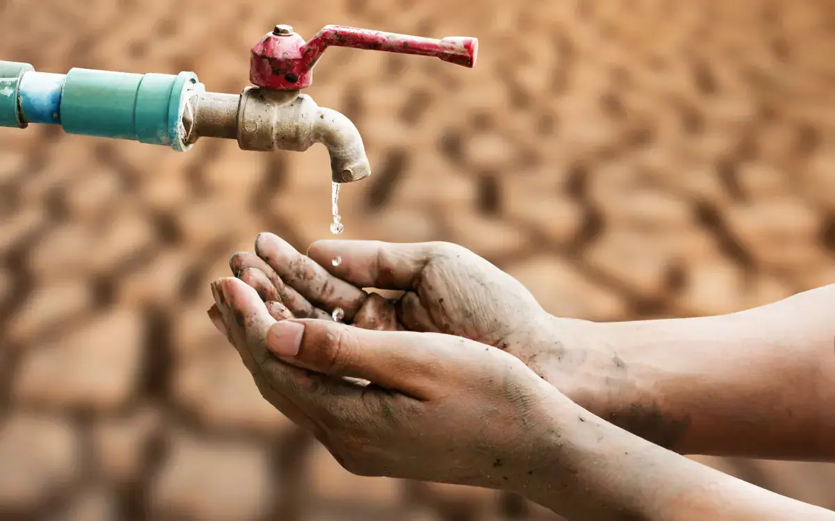 Drought and Water Scarcity Threaten Tunisian Agriculture and Economic Growth