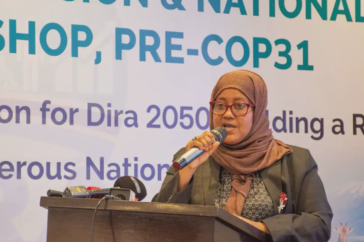 Tanzania to Prioritize Climate Finance and Greenhouse Gas Reduction at COP31