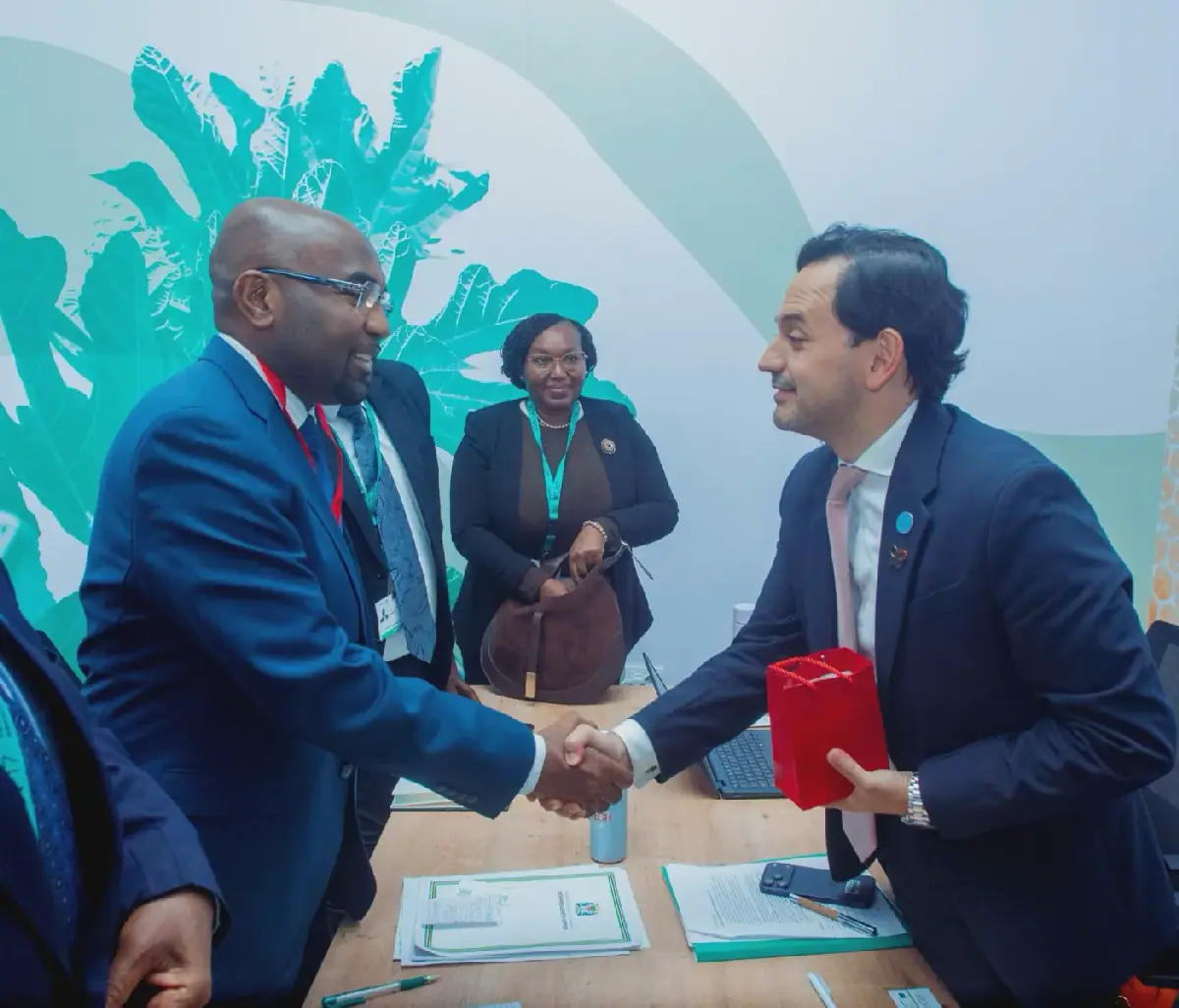 Tanzania seeks closer technical ties with GEF for environmental conservation