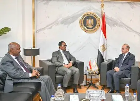 Djibouti and Egypt Strengthen Economic and Trade Partnerships