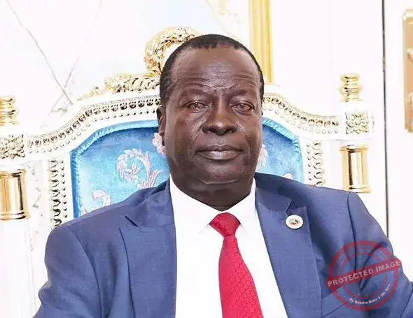 Upper Nile Authorities Enforce Security Measures for SPLM Primaries