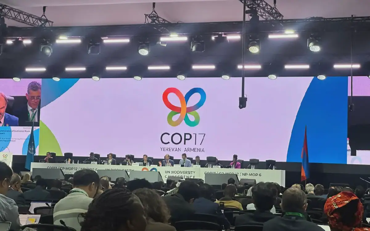 Indigenous Groups Urge UN to Halt Wildlife Carbon, Biodiversity Credits at CBD COP17