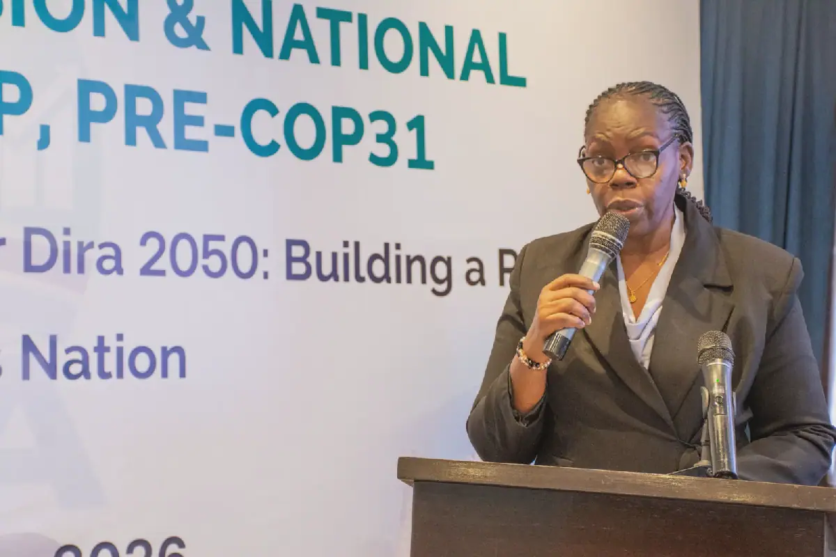 Experts tasked with mobilising climate financing