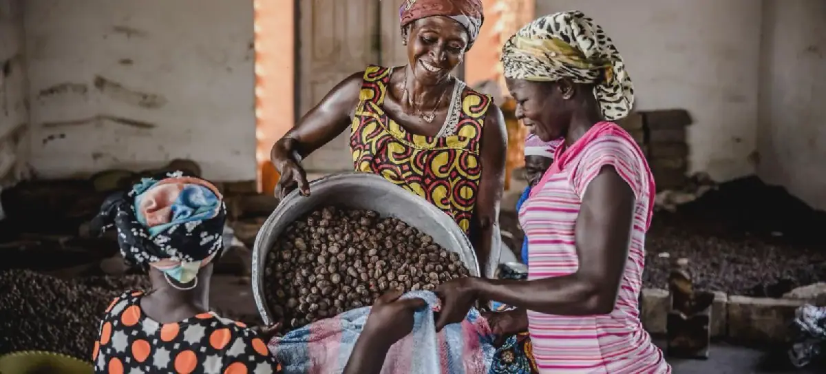 Ghana’s Shea Industry: A €1.8m Investment Bet on Women Farmers and Agricultural Growth