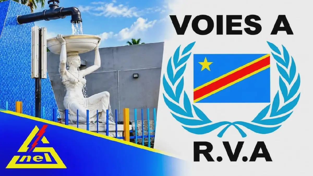 RDC : 1 795 candidats retenus pour la sélection des mandataires publics de cinq entreprises de l’État