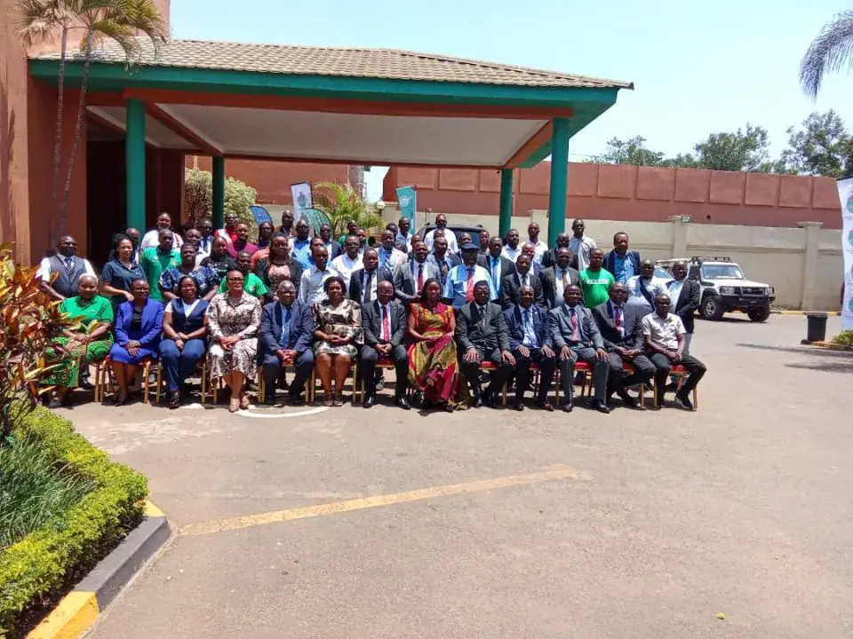 Experts Urge Adoption of AI in Malawi's Agriculture Sector