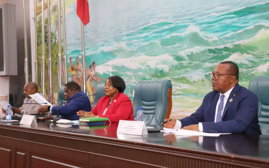 Equatorial Guinea's Senate Approves Hydrocarbons Law Reform